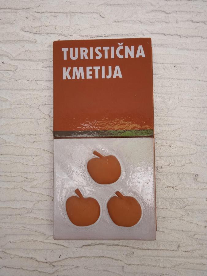 Turisticna Kmetija Birsa Villa Dobravlje Екстериор снимка